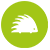 Illiwap